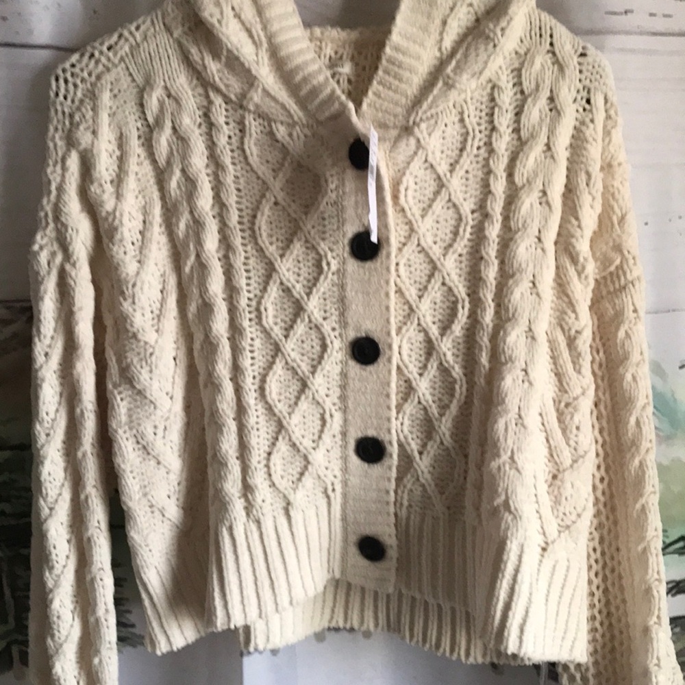 American Eagle 🦅 crop chunky hooded sweater